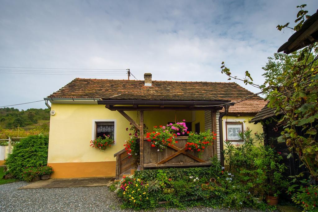 Stara Kapela Country house *
