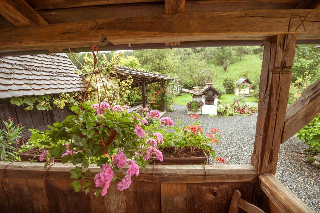 Country house Stara Kapela *