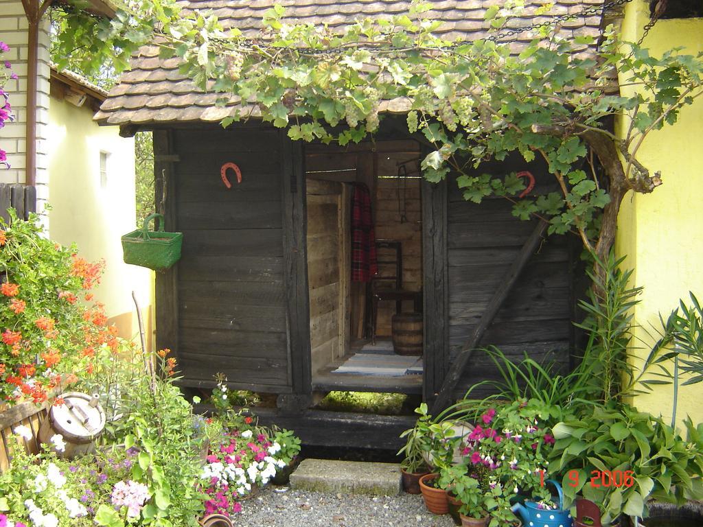 Country house Stara Kapela Nova Kapela